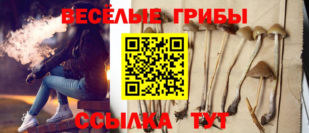 Калуга  Псилоцибиновые грибы Psilocybe  Вход с VPN 